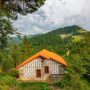 Zimmer mit zwei Einzelbetten